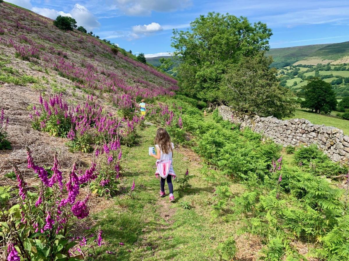 Black Mountains Stylish Hideaway, Nr Crickhowell Llanbedr  المظهر الخارجي الصورة